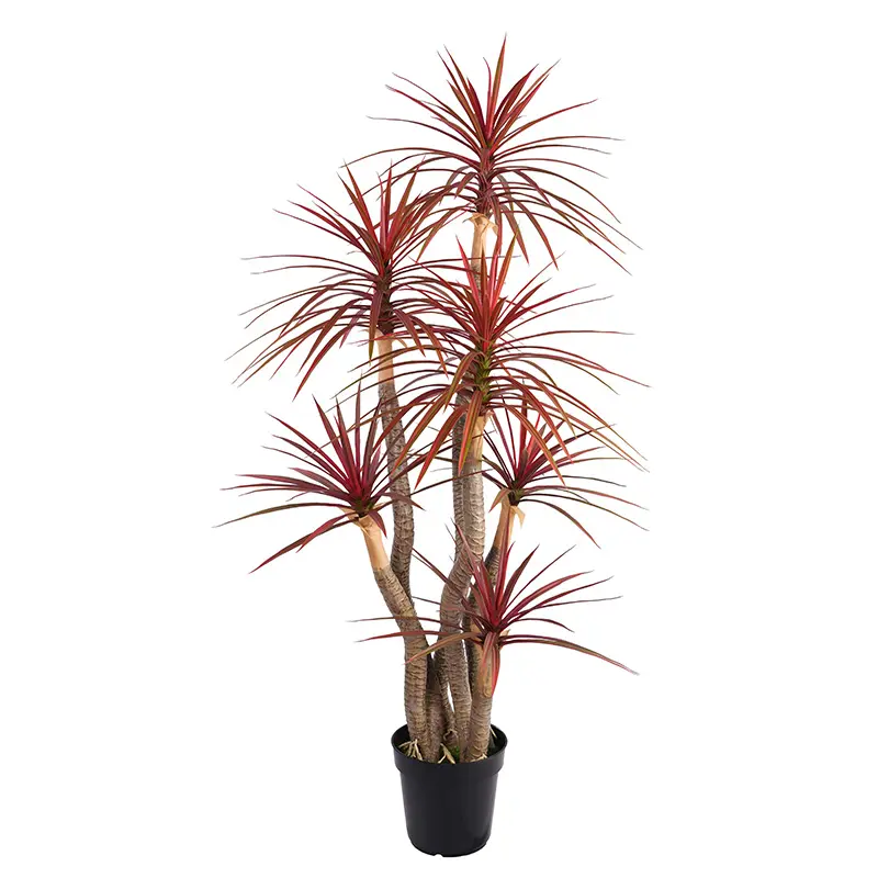 Bionic plant H155cm Red - Green Plastic Dracaena, Three Stems, 6 Heads, 234 Leaves in Pot, Cross - Border Wholesale Artificial Greenery