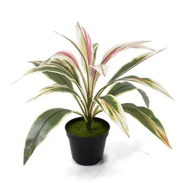 High quality artificial green H43cm Cordyline fruticosa leaves in pot Pink yellow home decoration