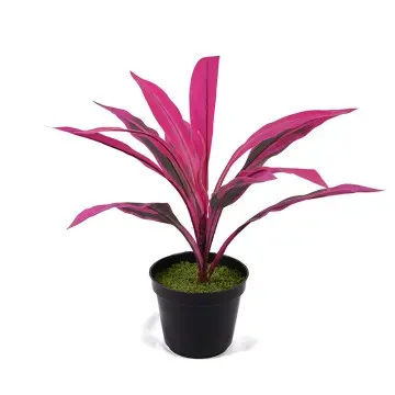 Artificial green plants H40cm Cordyline fruticosa leaves in pot Purple-green Gardening supplies
