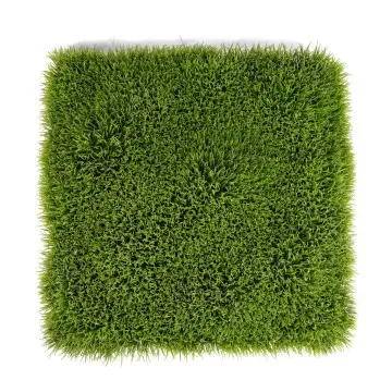 UV Protective Anti--UV Foliage Artificial Boxwood Grass Fence Mat Panels 62*62cm Garden Ornaments Decor Green Wall Artificial